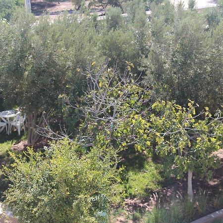 Les Jardins Fleuris Essaouira Exterior foto